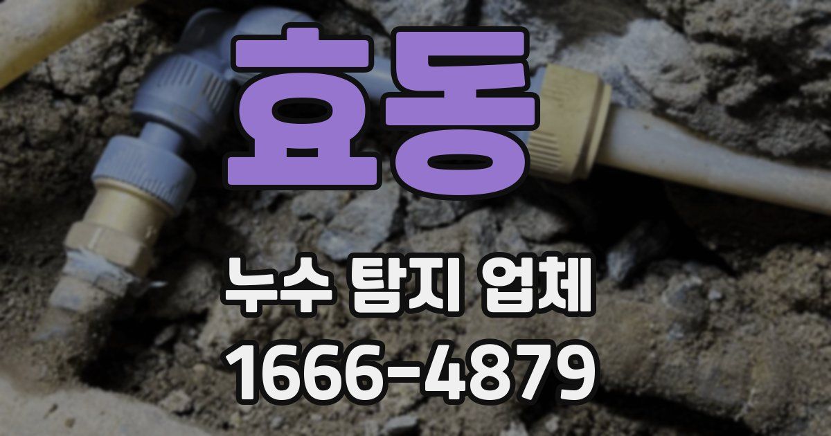 효동 누수 탐지 업체