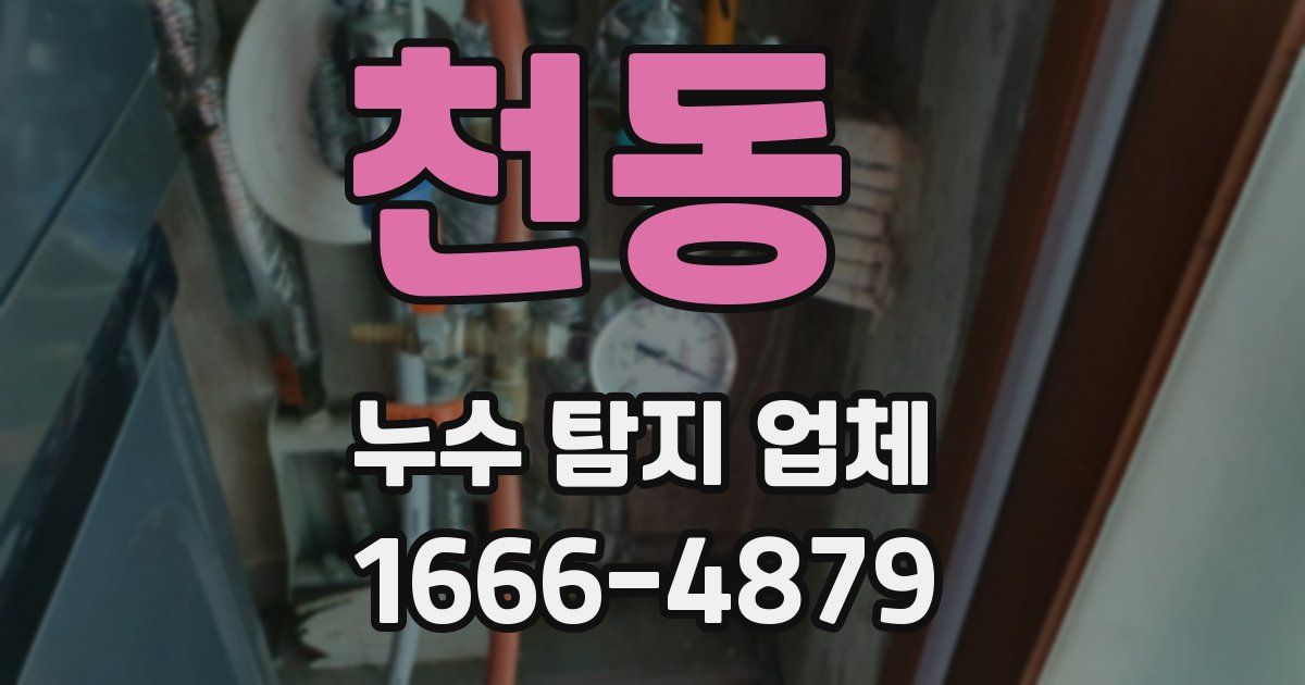 천동 누수 탐지 업체