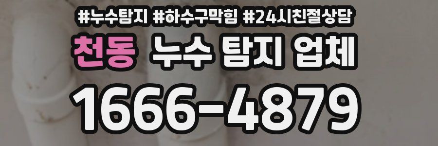 천동 누수 탐지 업체