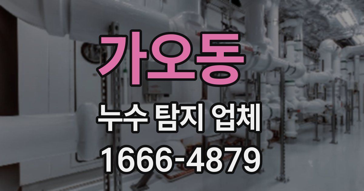 가오동 누수 탐지 업체