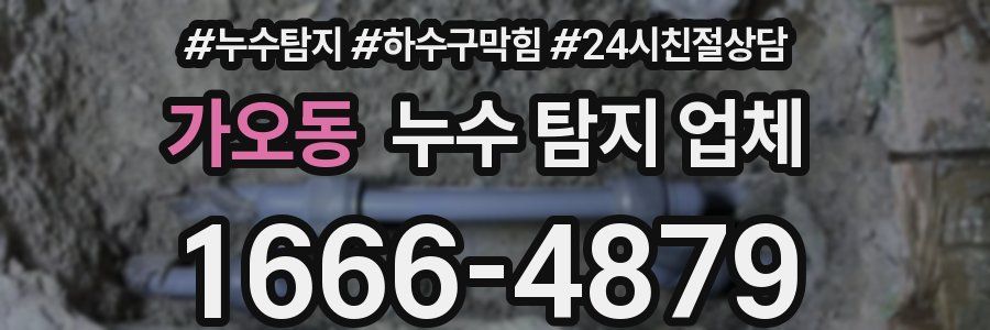 가오동 누수 탐지 업체