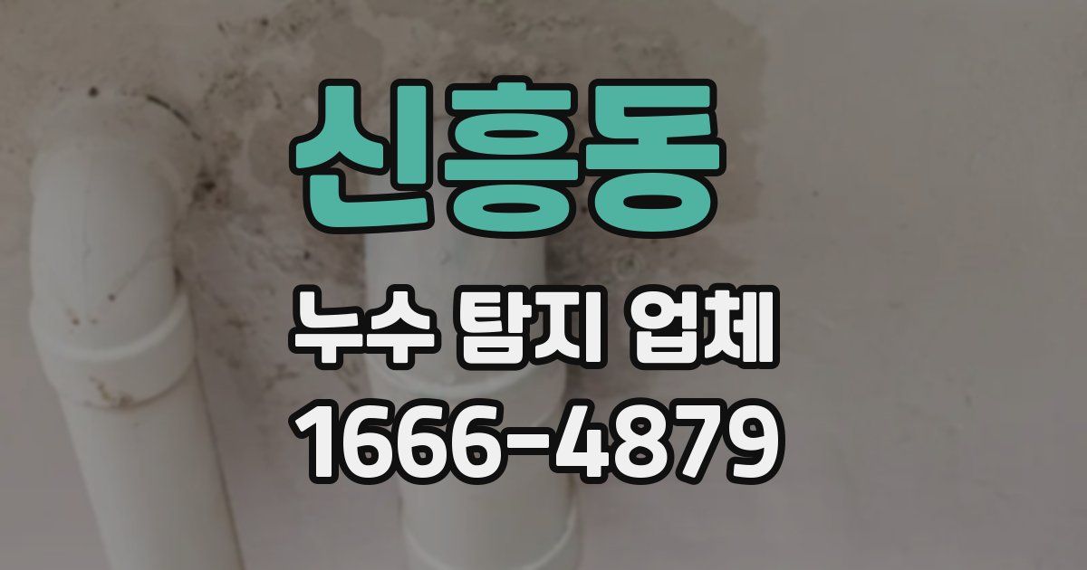신흥동 누수 탐지 업체