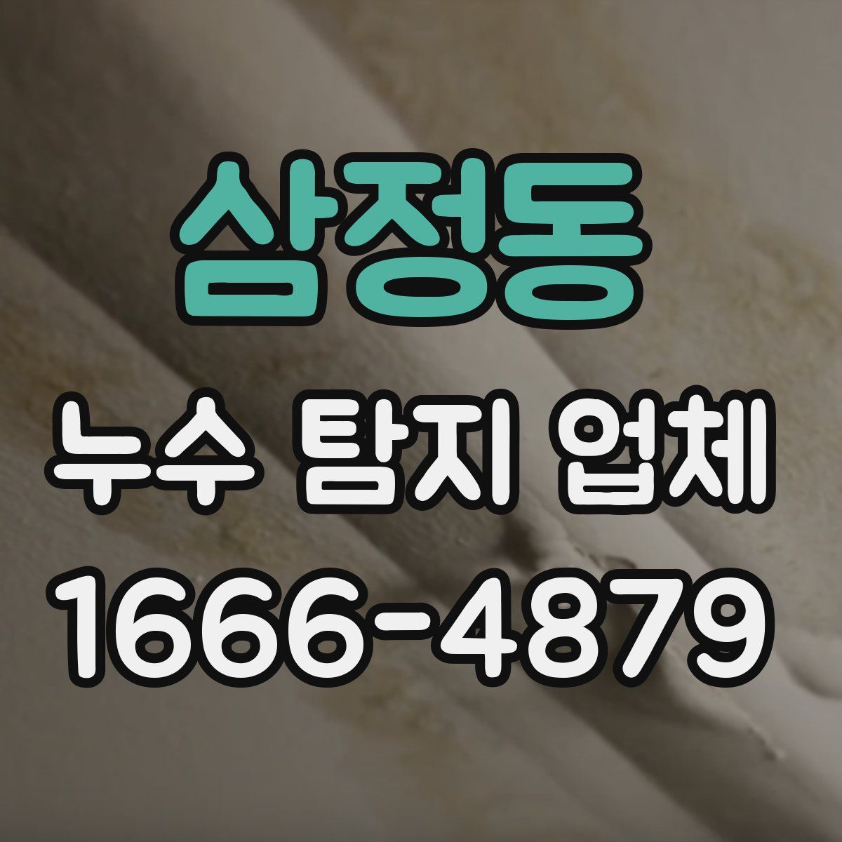삼정동 누수 탐지 업체