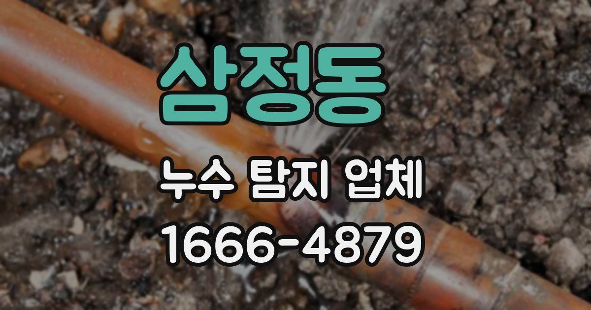삼정동 누수 탐지 업체