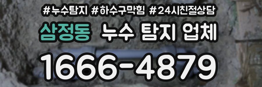 삼정동 누수 탐지 업체