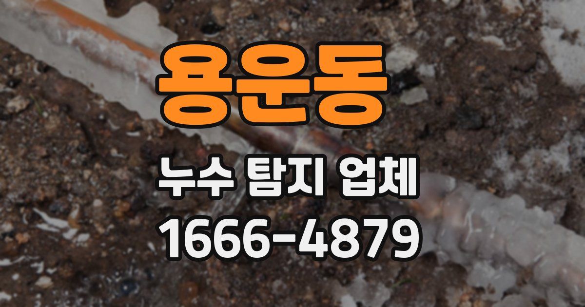용운동 누수 탐지 업체