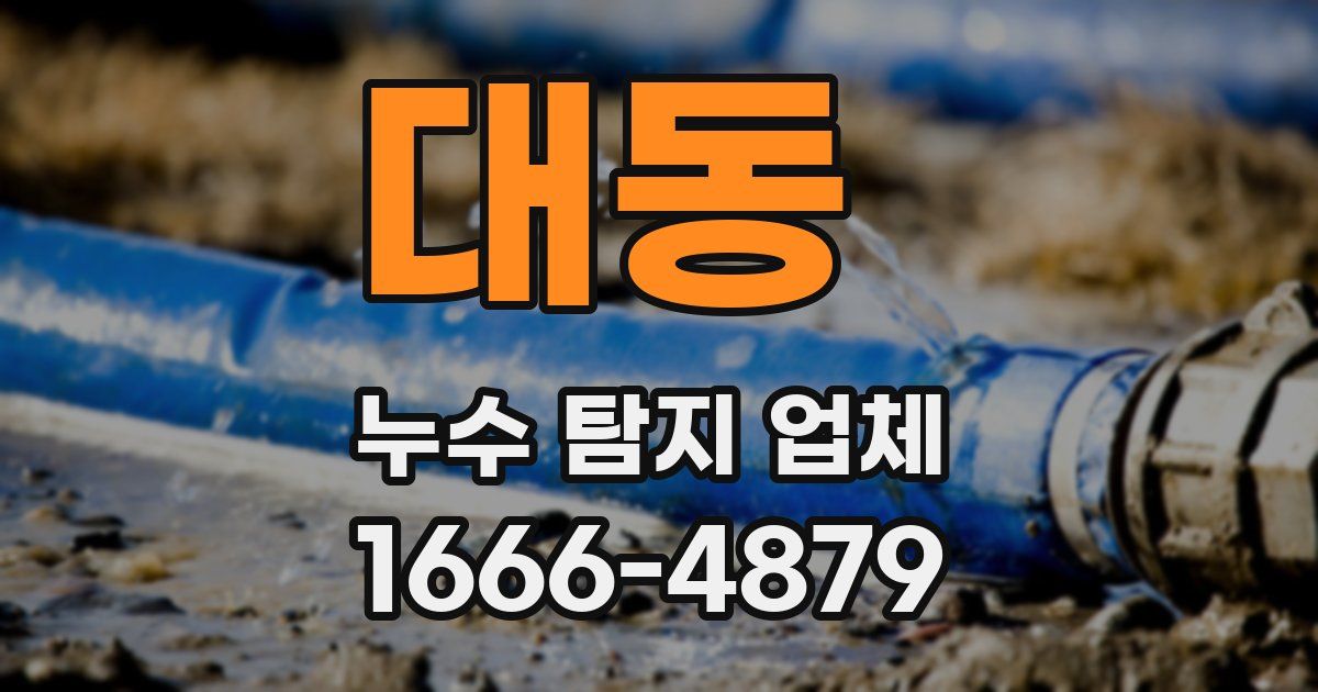 대동 누수 탐지 업체
