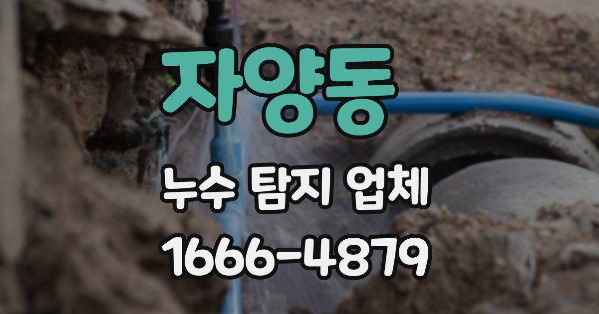 자양동 누수 탐지 업체