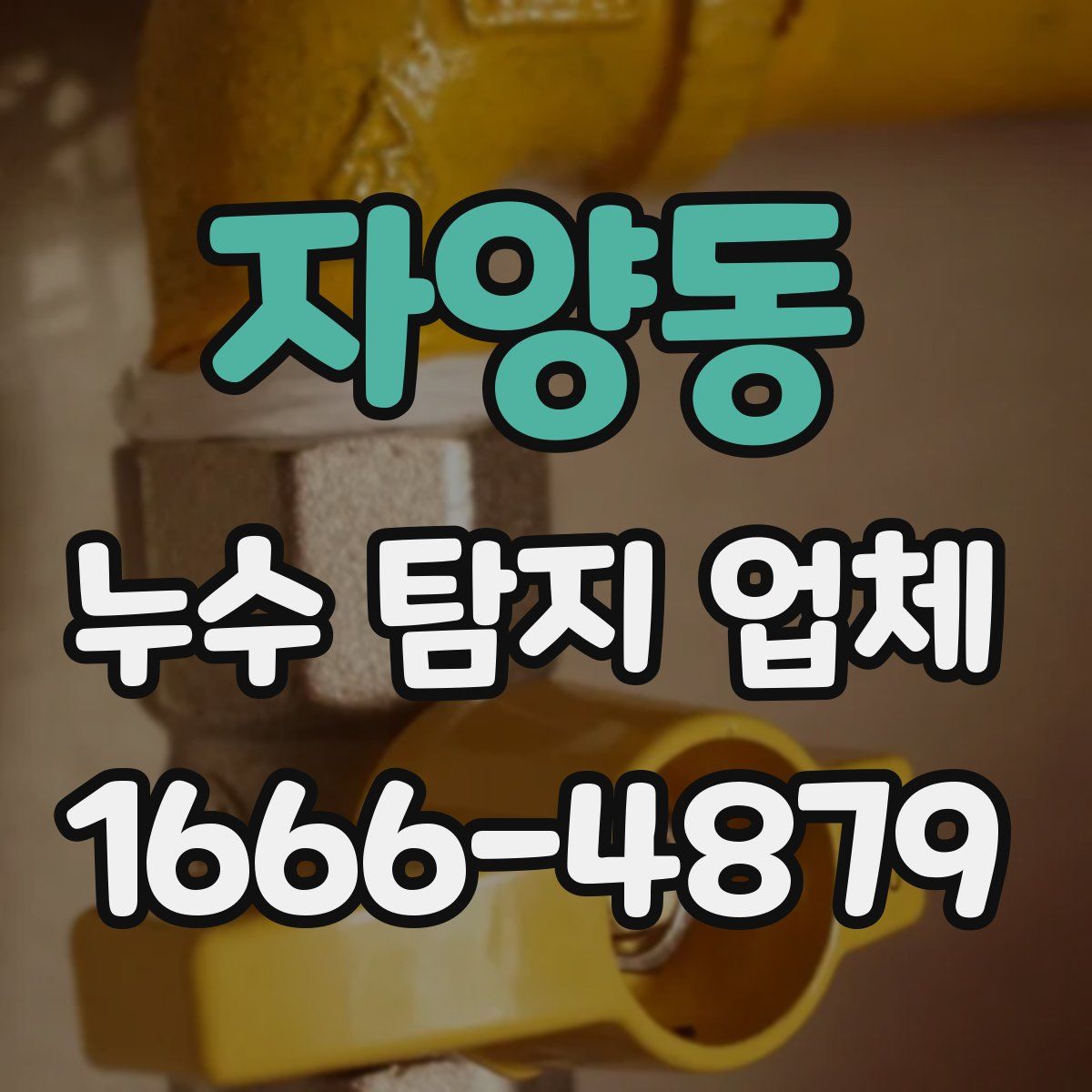자양동 누수 탐지 업체