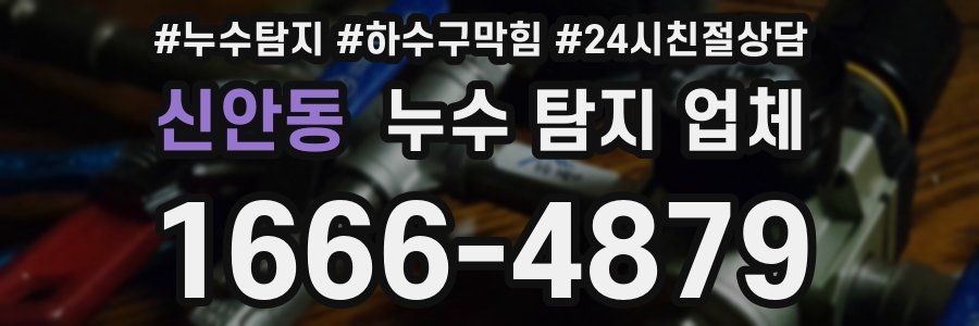 신안동 누수 탐지 업체