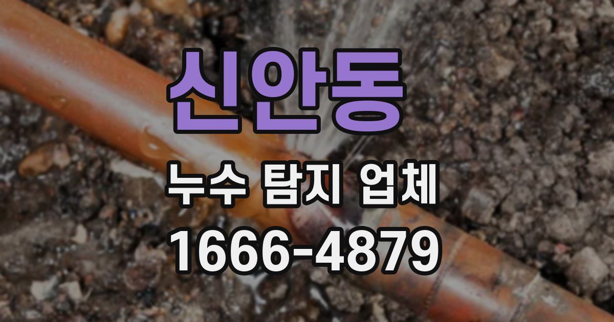 신안동 누수 탐지 업체