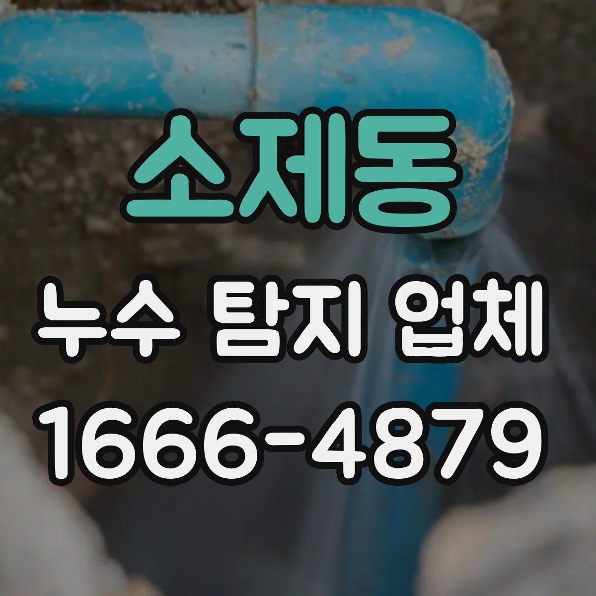 소제동 누수 탐지 업체