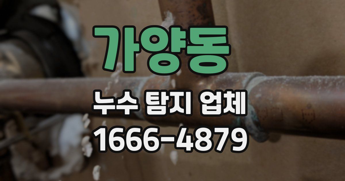 가양동 누수 탐지 업체