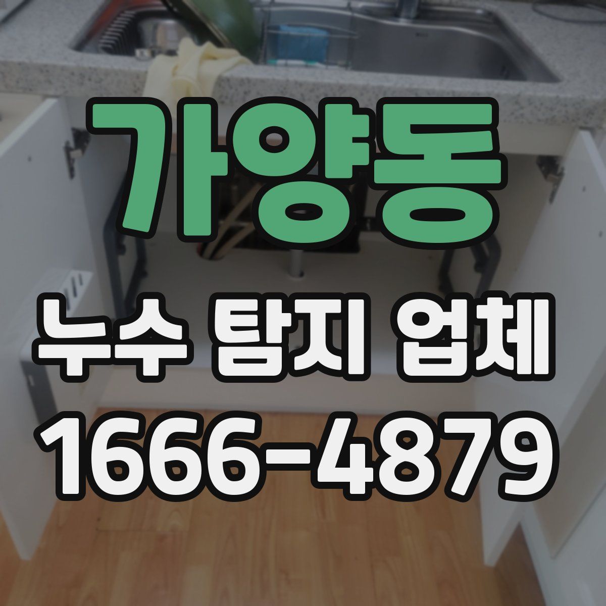 가양동 누수 탐지 업체