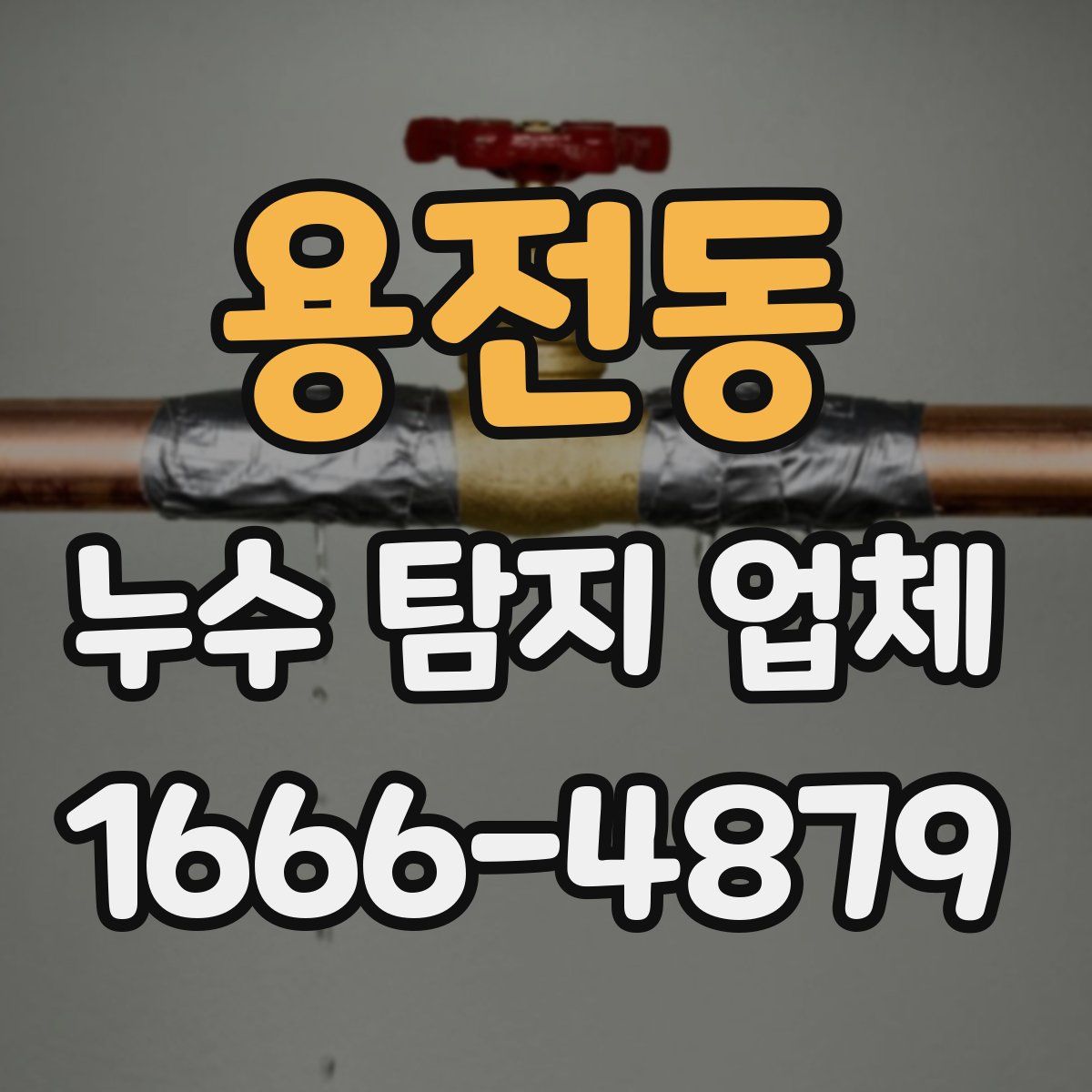 용전동 누수 탐지 업체