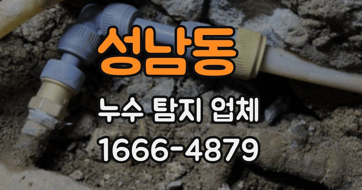 성남동 누수 탐지 업체