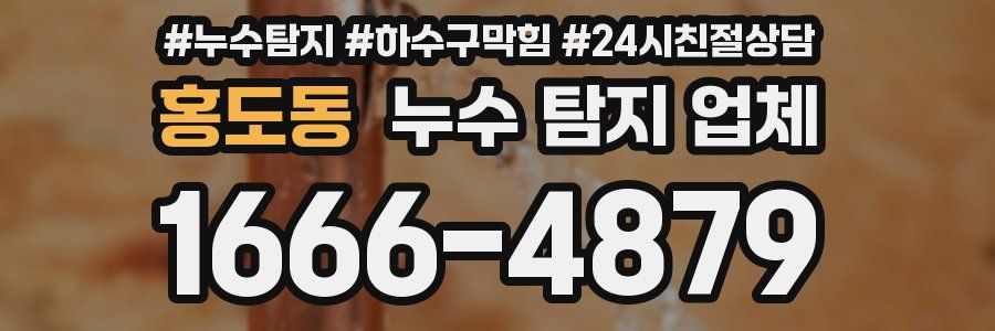 홍도동 누수 탐지 업체