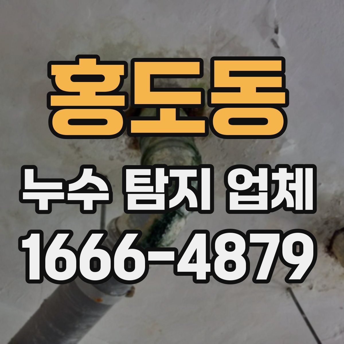 홍도동 누수 탐지 업체