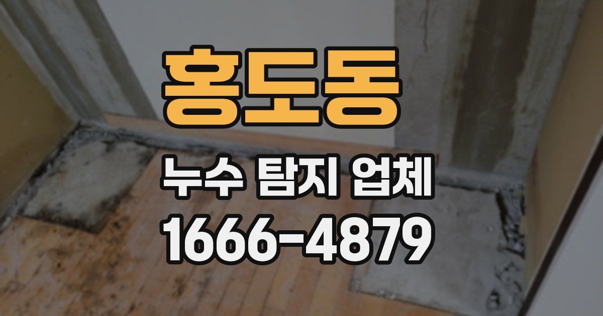 홍도동 누수 탐지 업체