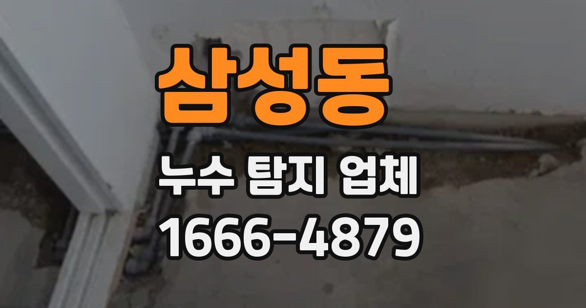 삼성동 누수 탐지 업체