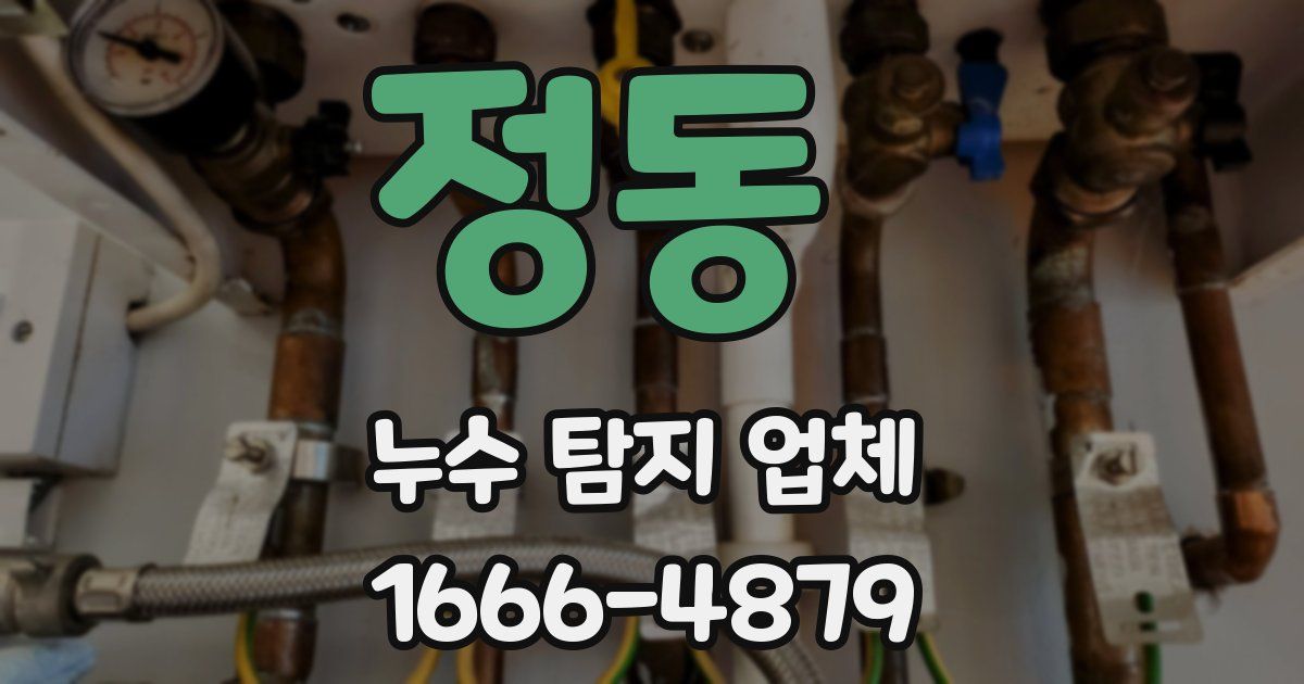 정동 누수 탐지 업체