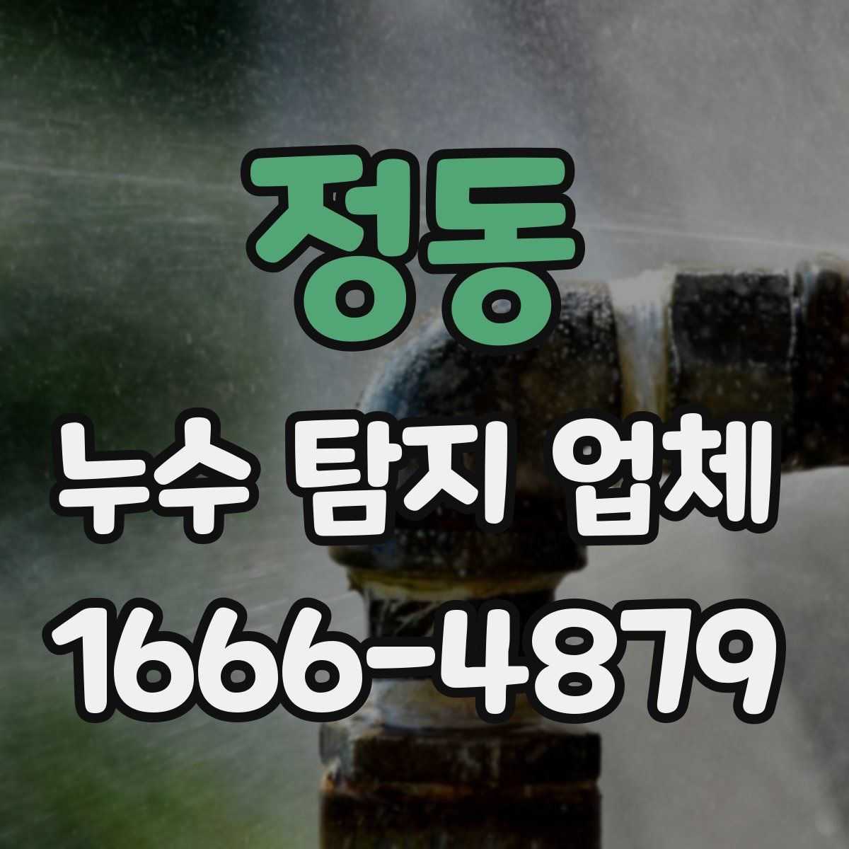 정동 누수 탐지 업체