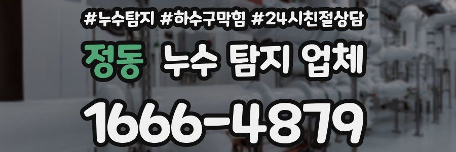 정동 누수 탐지 업체
