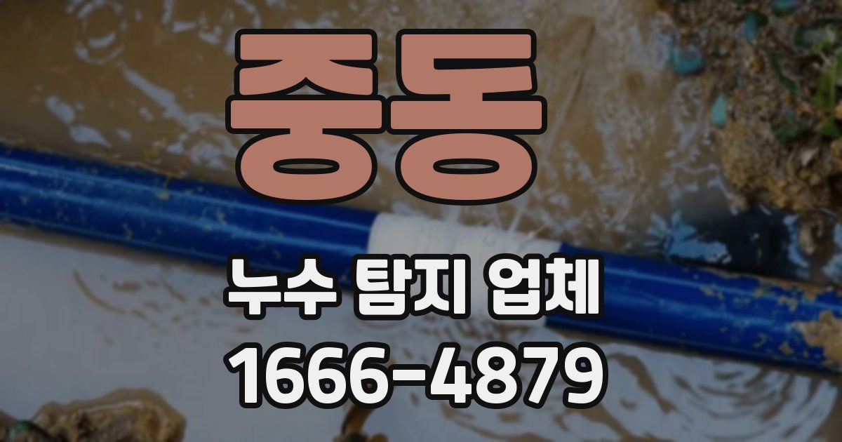 중동 누수 탐지 업체