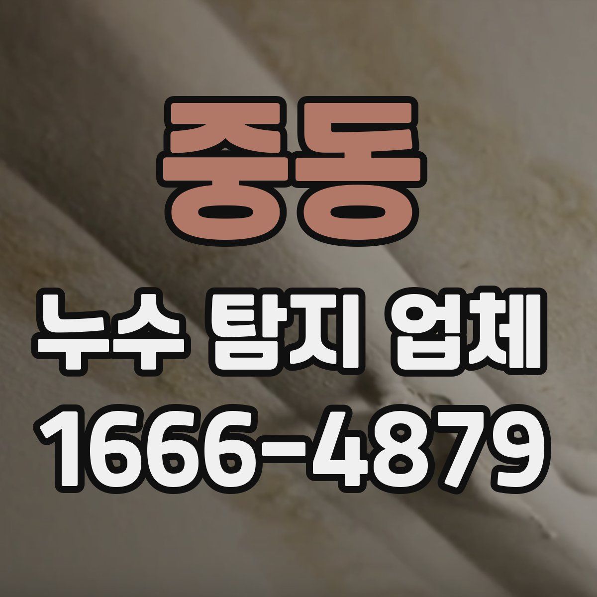 중동 누수 탐지 업체