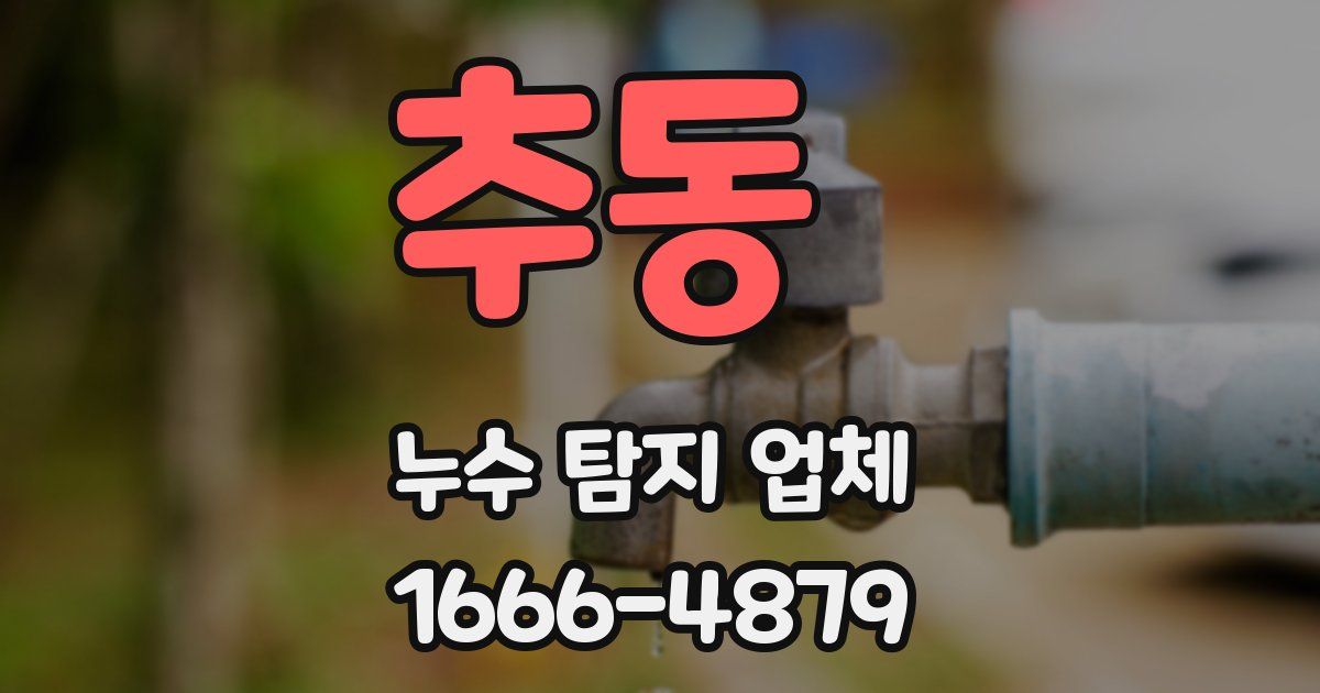 추동 누수 탐지 업체