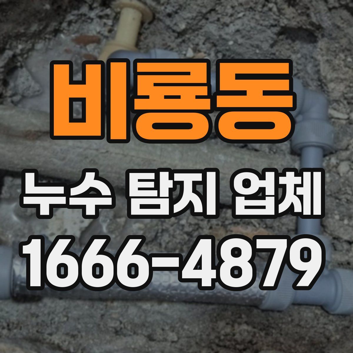 비룡동 누수 탐지 업체
