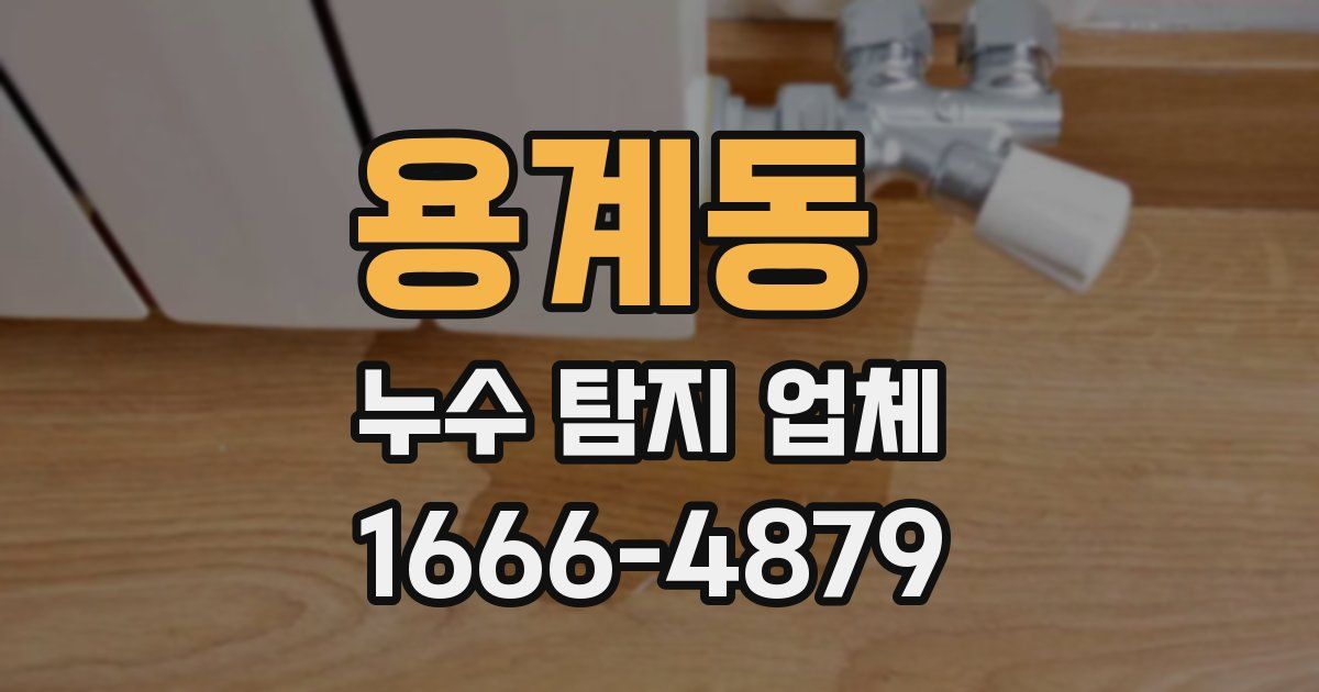 용계동 누수 탐지 업체
