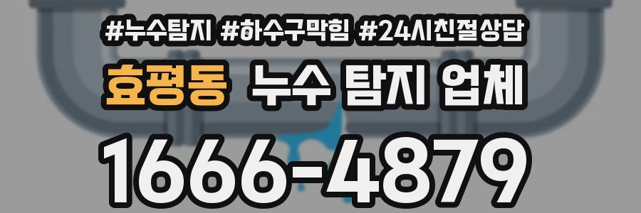 효평동 누수 탐지 업체
