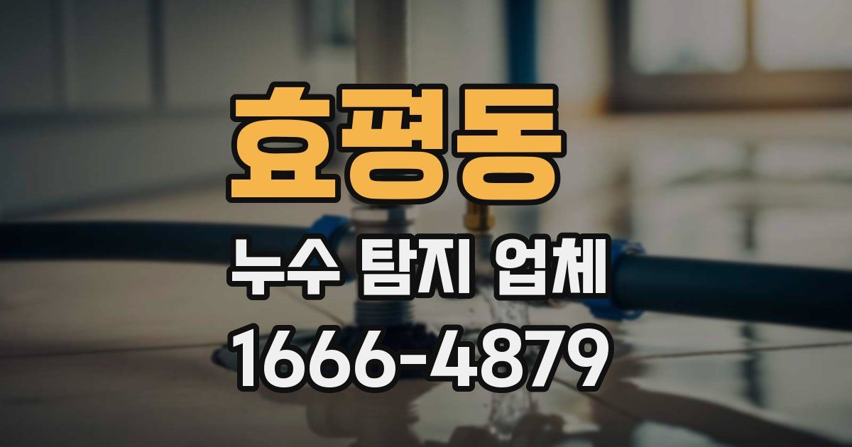 효평동 누수 탐지 업체