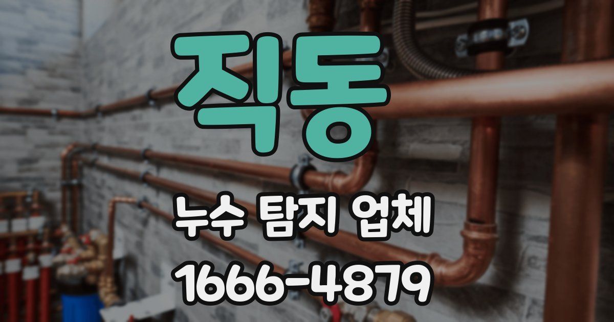 직동 누수 탐지 업체