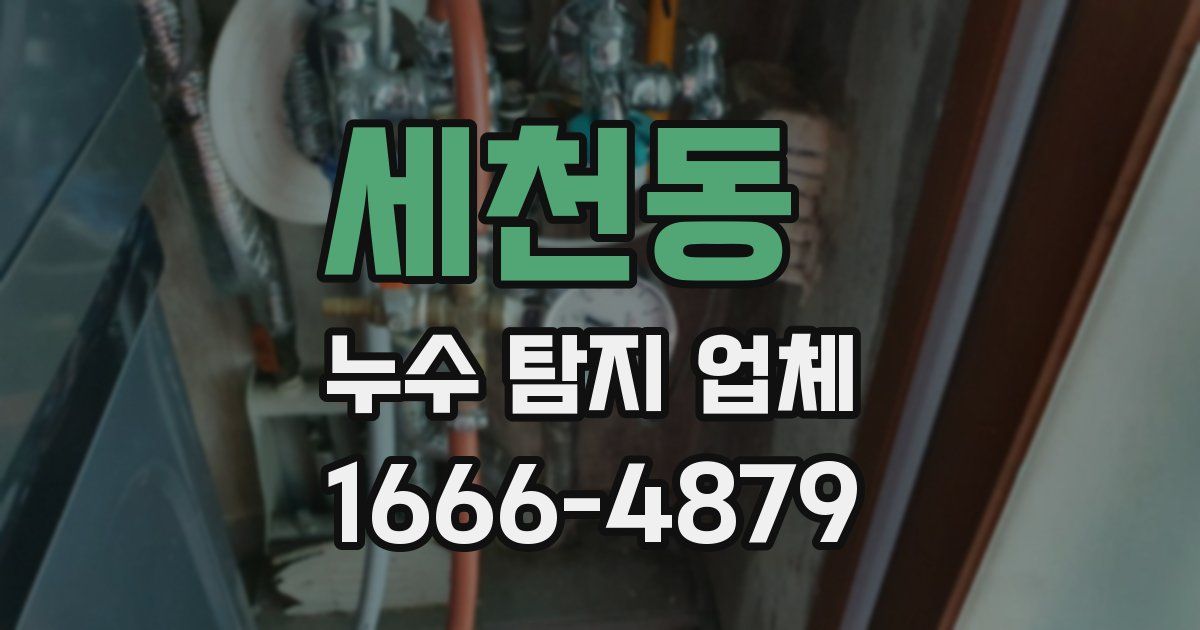 세천동 누수 탐지 업체