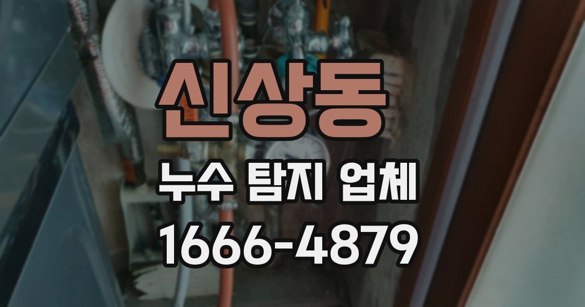 신상동 누수 탐지 업체