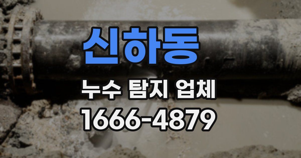 신하동 누수 탐지 업체