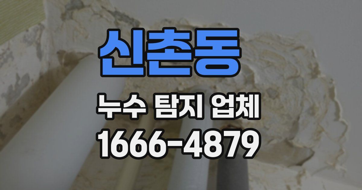 신촌동 누수 탐지 업체