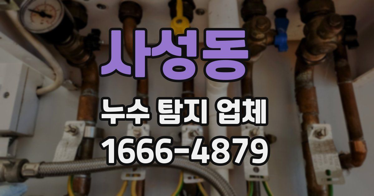사성동 누수 탐지 업체