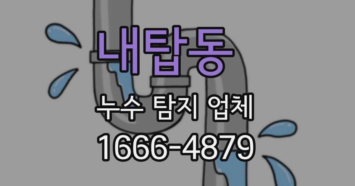 내탑동 누수 탐지 업체