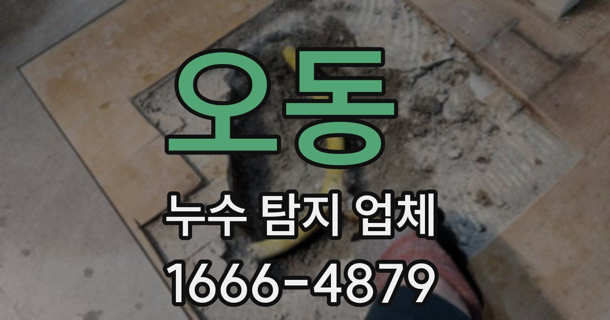 오동 누수 탐지 업체
