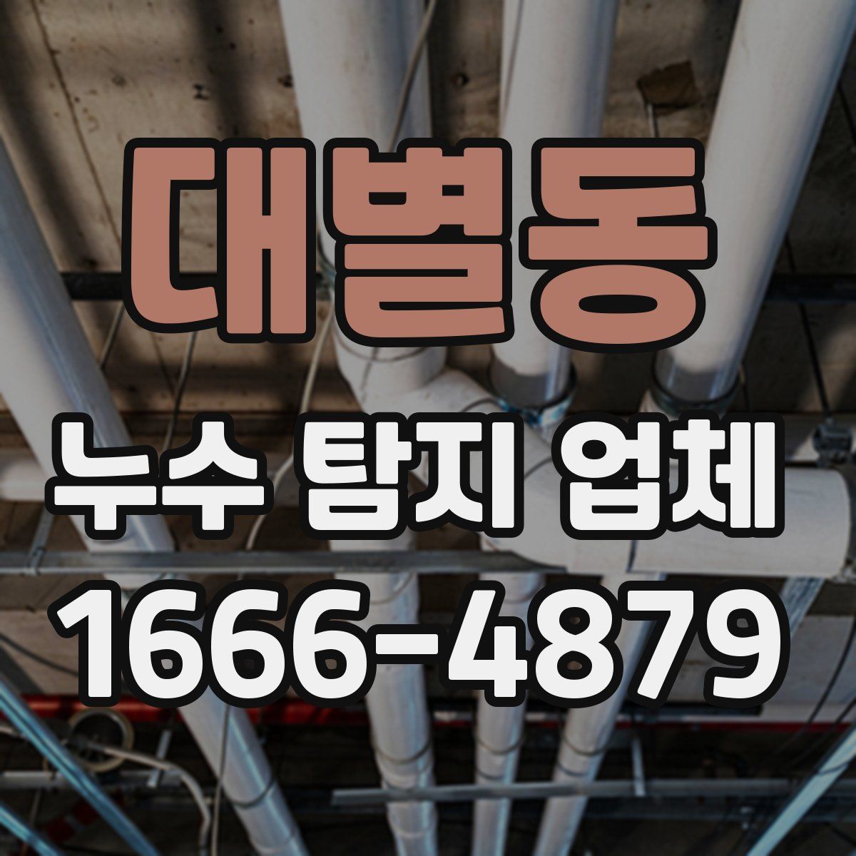 대별동 누수 탐지 업체