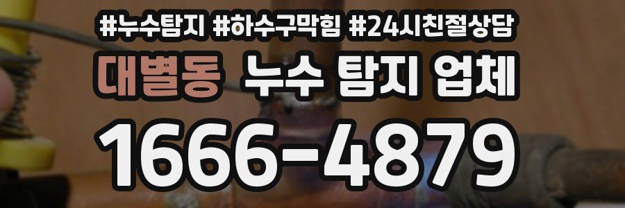 대별동 누수 탐지 업체