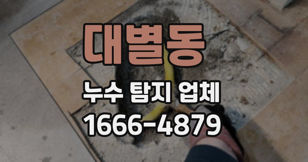대별동 누수 탐지 업체