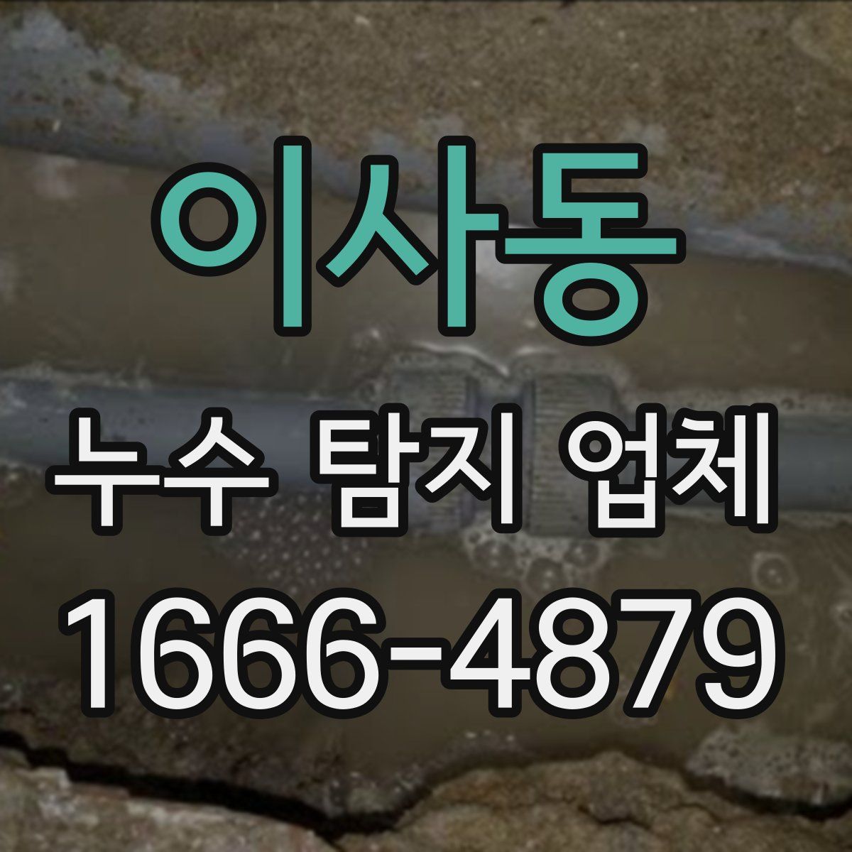 이사동 누수 탐지 업체