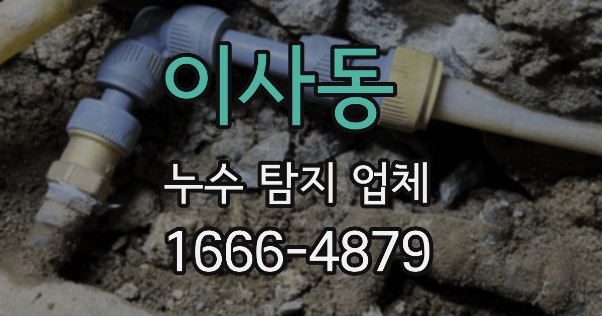 이사동 누수 탐지 업체