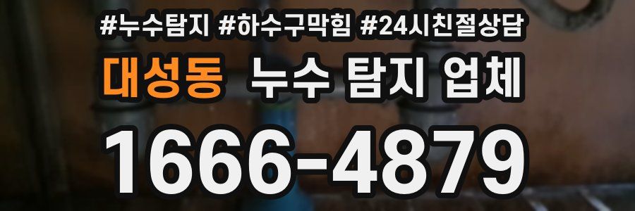 대성동 누수 탐지 업체