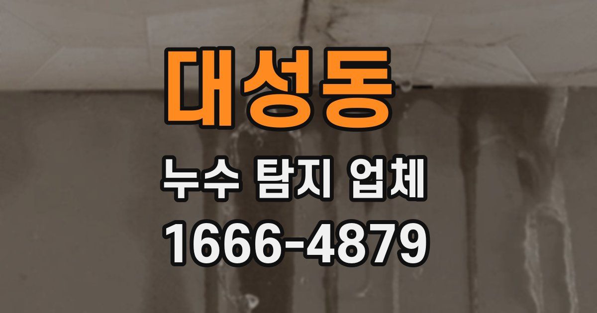 대성동 누수 탐지 업체