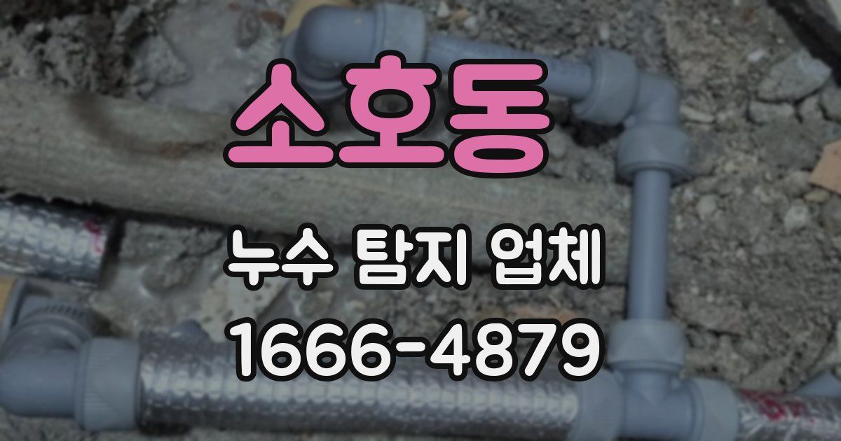 소호동 누수 탐지 업체